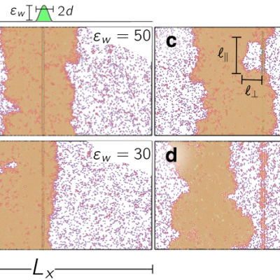 Wetting Transition of Active Brownian Particles on a Thin Membrane